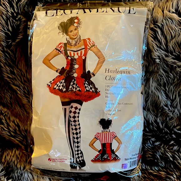 Harlequin Clown Costume